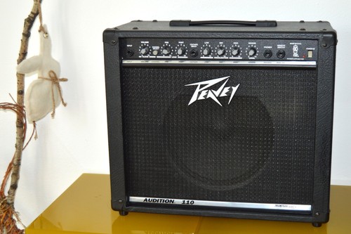 Combo peavey audition 110 - peavey,