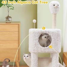 Kratzbaum für Hauskatzen