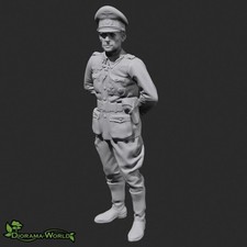 Offizier in Uniform WWII