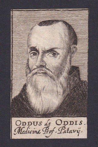 Oddo degli oddi - 17., /