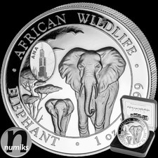 ELEFANT 2015 WMF ANA CHICAGO