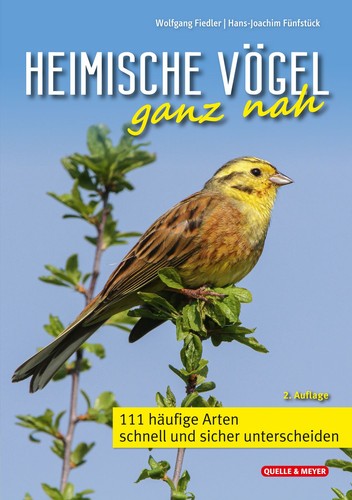 Heimische vögel ganz nah 111 - vögel,