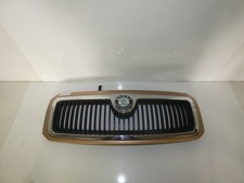 Frontgrill  Skoda Fabia 6Y BJ