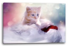 Wandbild katzenbaby getigert - wandbild,
