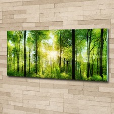 Acrylglas bild wandbilder - acrylglas-bild,