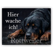 Rottweiler Warnschild "Hier