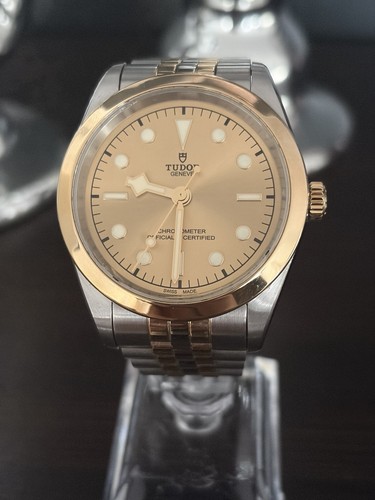 Tudor black bay stahl - tudor,
