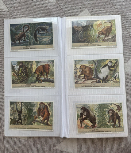 Liebig sammelbilder affen - liebig,