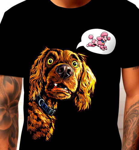 Lustiger hund mit - lustiger, pudel