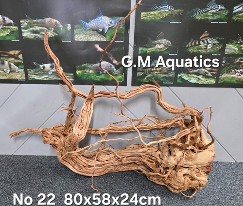 Azalee form aquariumholz - azalee, s-form
