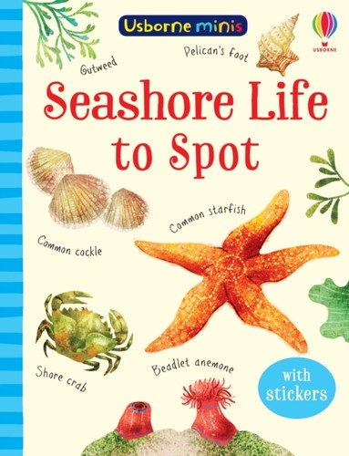 Seashore life spot by - spot,