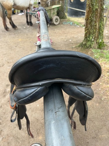 Wanderreitsattel von masimo - wanderreitsattel,
