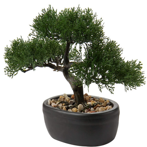 Briful kunstbonsai künstliche - kunstbonsai,