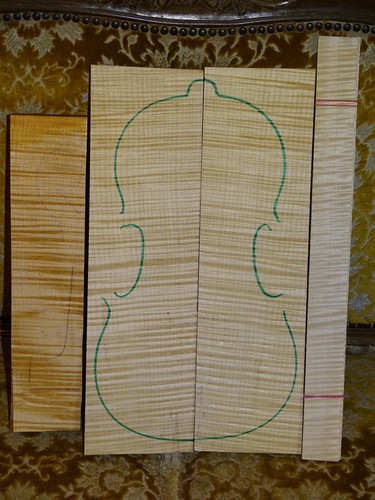 Tonholz tonewood klasse bosn - tonholz,,