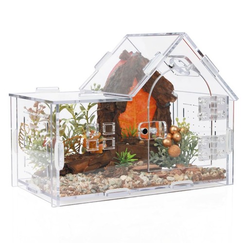 Acryl-Springspinnen-Terrarium