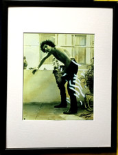 Christian Ludwig ATTERSEE  Zebrakopf  HANDSIGNIERT  FotoMultiple + Rahmen SELTEN