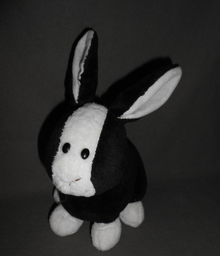 Nici hase kaninchen schwarz - kaninchen,