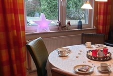 2 x Vorhänge/Gardinen/Schals in warmem Karo-Design | Modern, stylisch 2,30x1,40