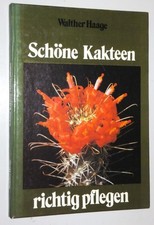Kakteen richtig pflegen
