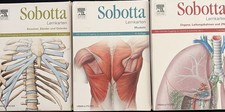 Sobotta lernkarten muskeln - sobotta, lernkarten,