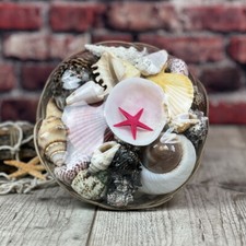 Muschelkorb 20cm bunter