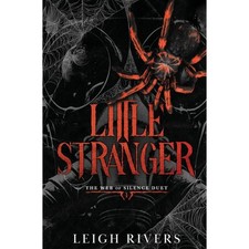 Little Stranger : ein Dunkles