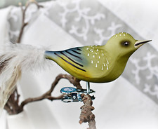 ❀ Grünfink Glasvogel Fink