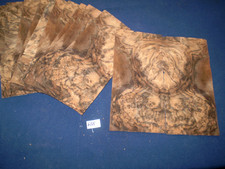 Nussbaum Maser Furnier