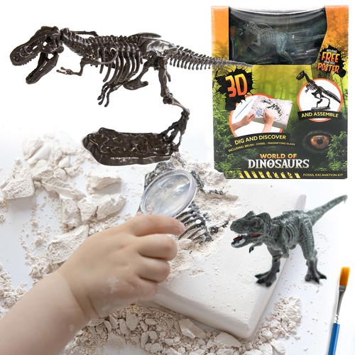 Ausgrabungsset dino fossil - ausgrabungsset,