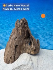‼️Corbo Root Nano⭐️