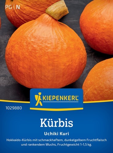 Kiepebkerl kürbissamen uchiki - kürbissamen,