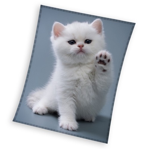 Katze coral fleecedecke 150 - fleecedecke,