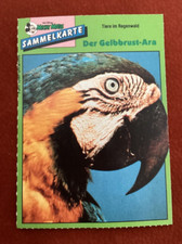 Micky Maus Sammelkarte Tiere im Regenwald Der Gelbbrust-Ara