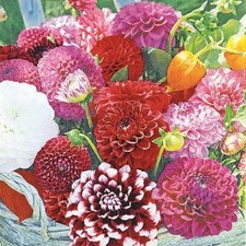 20 Servietten Blumen Dahlia
