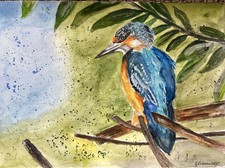 Original, Aquarell, Eisvogel