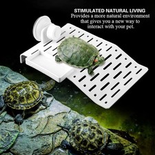 Aquarium schildkröten - aquarium,