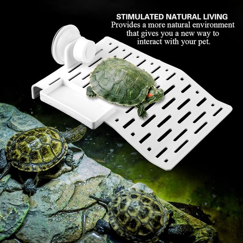 Aquarium schildkröten - aquarium,