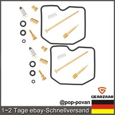 2x Vergaser Reparatur Satz