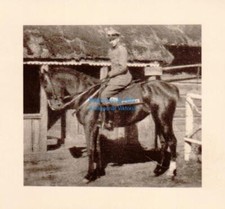 Foto wohl Dragoner-Regiment Nr. 2 Leutnant von Glasenapp ca6,3x6,6cm