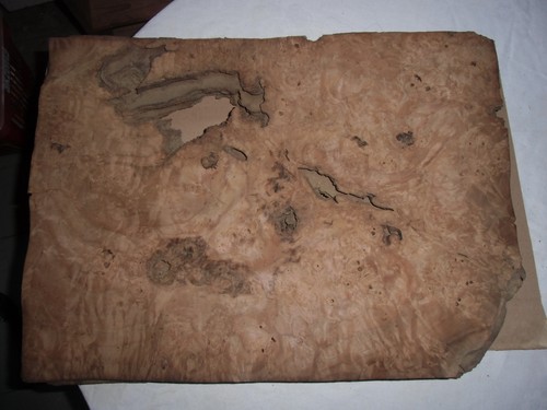 Pappel maser wurzelholzfurnier - pappel,