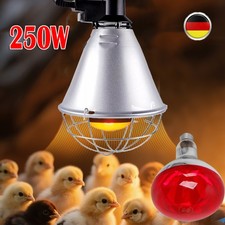 Infrarotbirne Rotlichtlampe