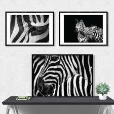 JUNIWORDS Poster "zebras"