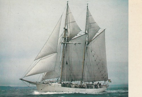 Gladan königl schwedische - gladan, königl.