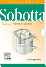 Sobotta Lernkarten