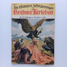 Brehms Tierleben 7, Die schönsten Schilderungen, Gefräßiges Geiervolk