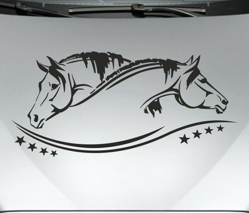 Aufkleber auto motorhaube - aufkleber,