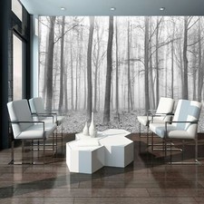 Fototapete WALD 3D Natur Baum