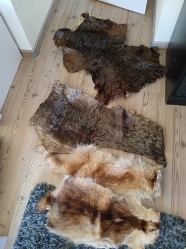 Verschiedene fell tierfell - fell,