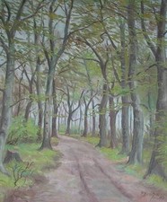 Neue Sachlichkeit Waldweg