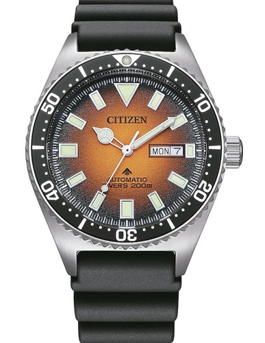 Citizen ny0120 01z - ny0120-01z, promaster